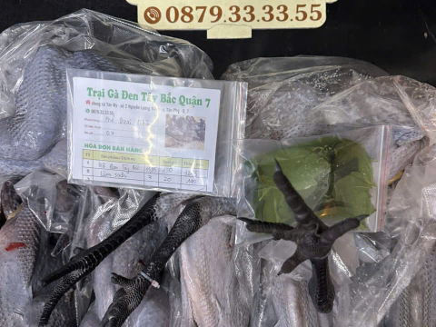 Trại gà đen Tây Bắc Sơn Vũ