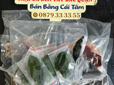 Trại gà đen Tây Bắc Sơn Vũ