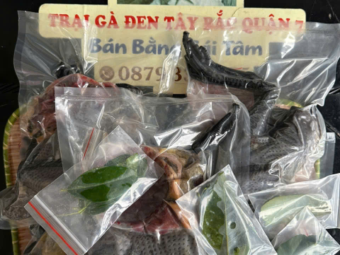 Trại gà đen Tây Bắc Sơn Vũ