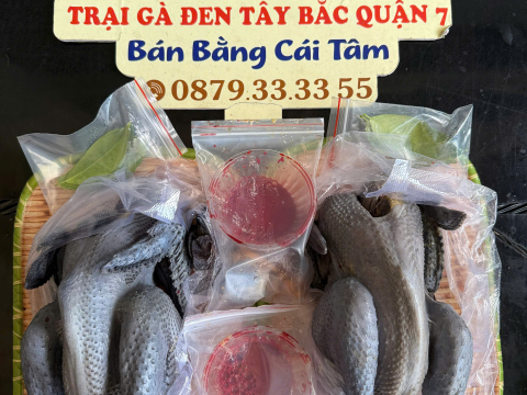 ĐƠN NGÀY 13/7