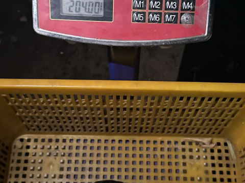 Trại gà đen Tây Bắc Sơn Vũ