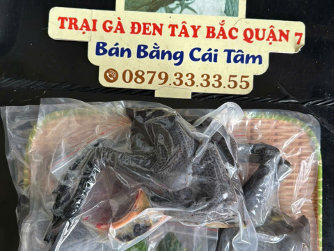 Trại gà đen Tây Bắc Sơn Vũ
