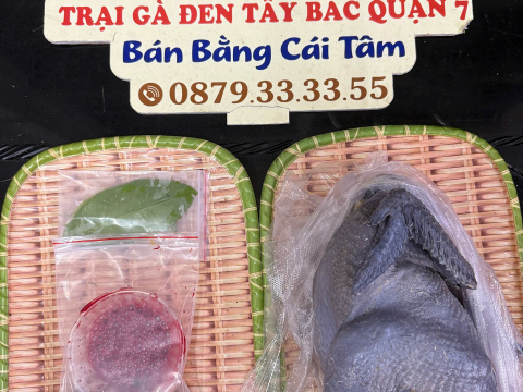 ĐƠN NGÀY 15/7