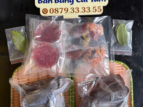 Trại gà đen Tây Bắc Sơn Vũ