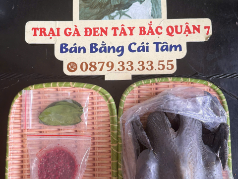 Trại gà đen Tây Bắc Sơn Vũ