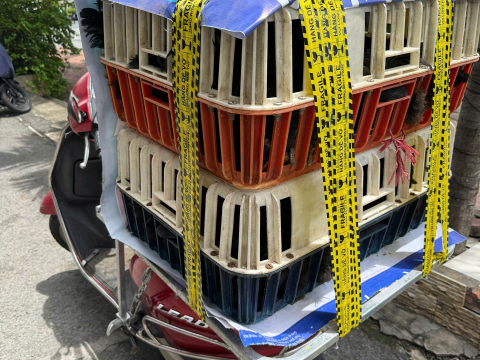 Trại gà đen Tây Bắc Sơn Vũ