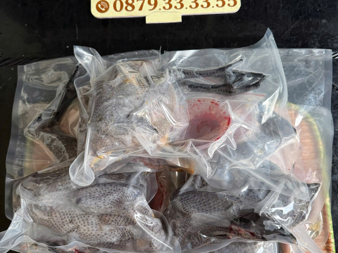 Trại gà đen Tây Bắc Sơn Vũ
