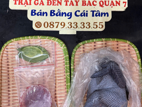 Trại gà đen Tây Bắc Sơn Vũ
