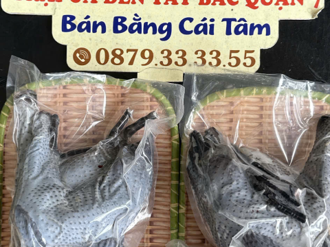 Trại gà đen Tây Bắc Sơn Vũ