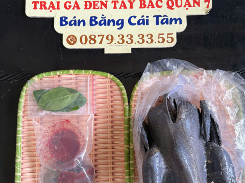 Trại gà đen Tây Bắc Sơn Vũ