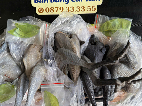 Trại gà đen Tây Bắc Sơn Vũ