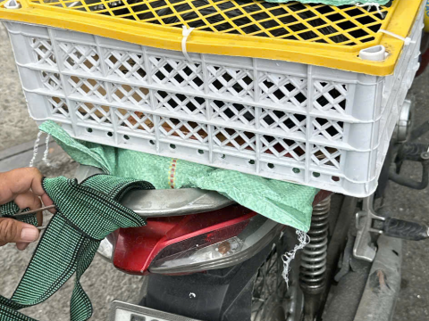 Trại gà đen Tây Bắc Sơn Vũ