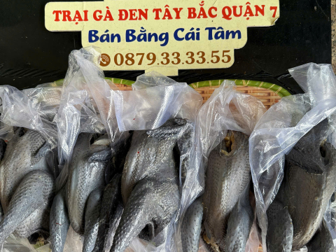Trại gà đen Tây Bắc Sơn Vũ