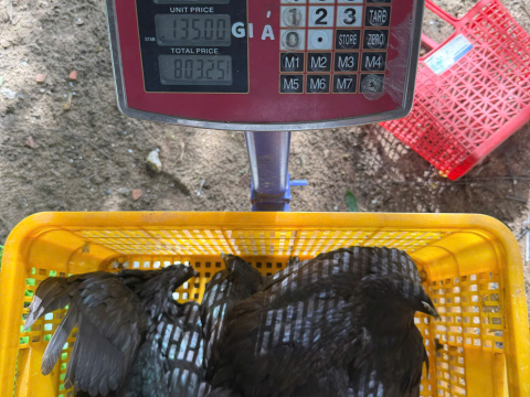 ĐƠN NGÀY 22/7
