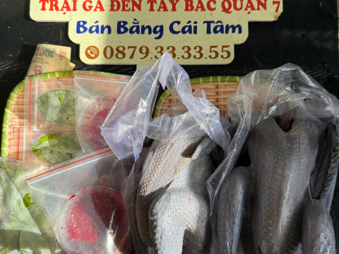 Trại gà đen Tây Bắc Sơn Vũ