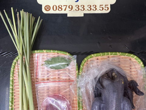 Trại gà đen Tây Bắc Sơn Vũ