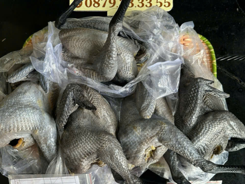 ĐƠN NGÀY 27/7