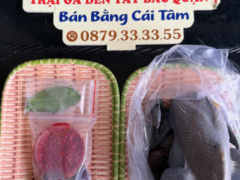 Trại gà đen Tây Bắc Sơn Vũ