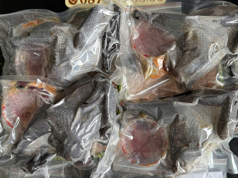 Trại gà đen Tây Bắc Sơn Vũ