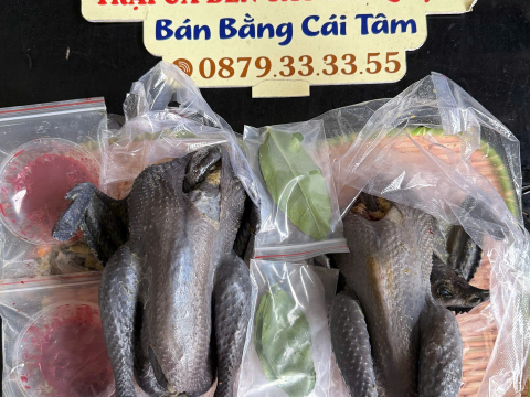 Trại gà đen Tây Bắc Sơn Vũ