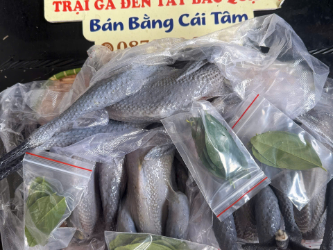 Trại gà đen Tây Bắc Sơn Vũ