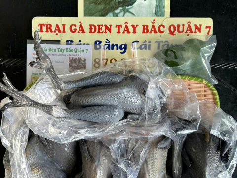 ĐƠN NGÀY 1/8