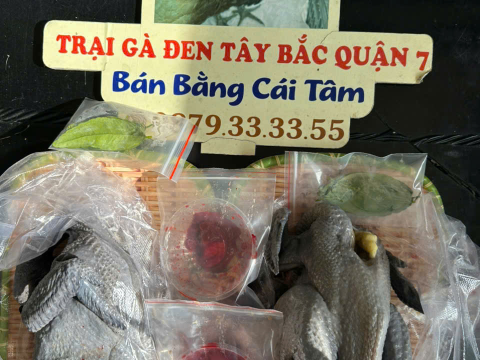 Trại gà đen Tây Bắc Sơn Vũ