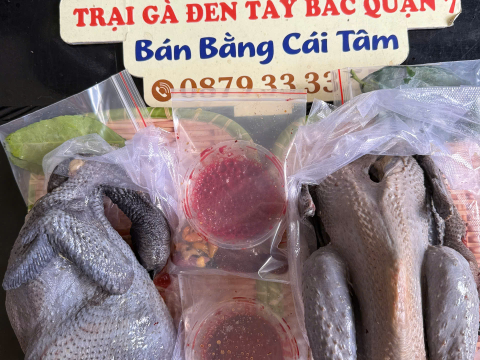 Trại gà đen Tây Bắc Sơn Vũ