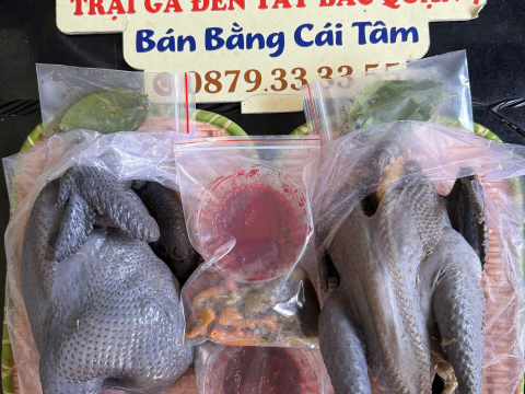 Trại gà đen Tây Bắc Sơn Vũ