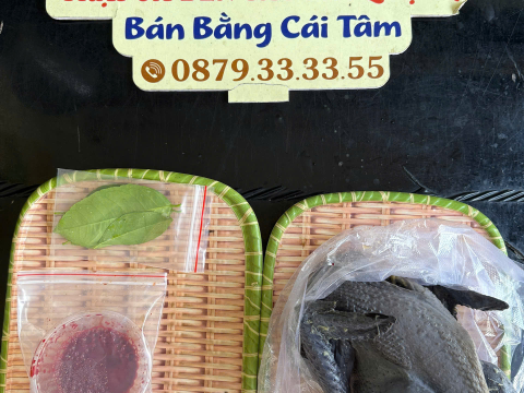 ĐƠN NGÀY 3/8