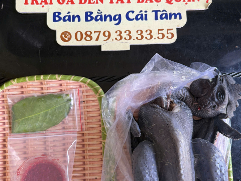 Trại gà đen Tây Bắc Sơn Vũ
