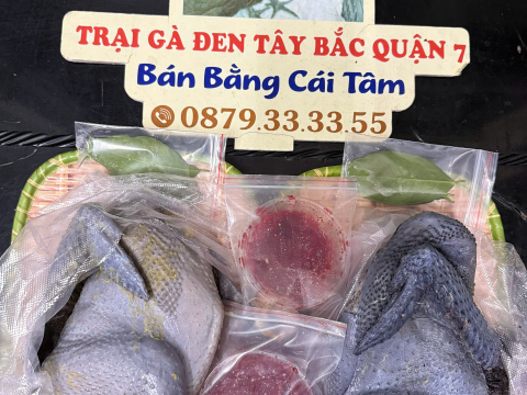 ĐƠN NGÀY 4/8