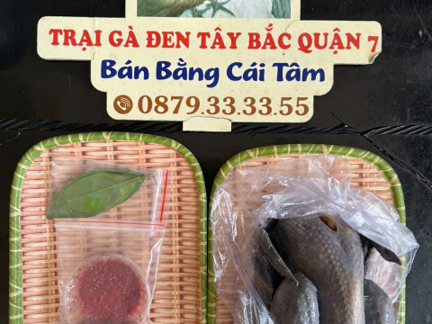 Trại gà đen Tây Bắc Sơn Vũ