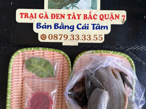 Trại gà đen Tây Bắc Sơn Vũ