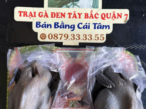 ĐƠN NGÀY 7/8