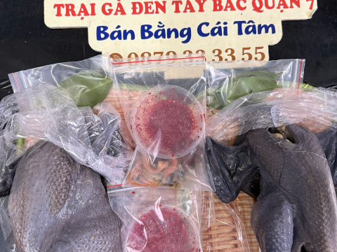 Trại gà đen Tây Bắc Sơn Vũ