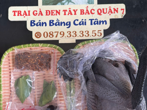 Trại gà đen Tây Bắc Sơn Vũ