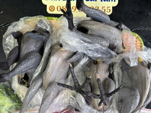 ĐƠN NGÀY 12/8