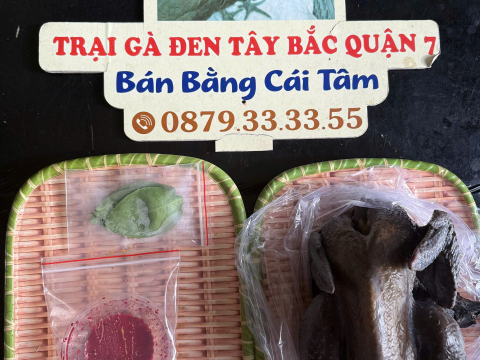 Trại gà đen Tây Bắc Sơn Vũ