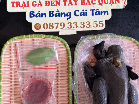 Trại gà đen Tây Bắc Sơn Vũ
