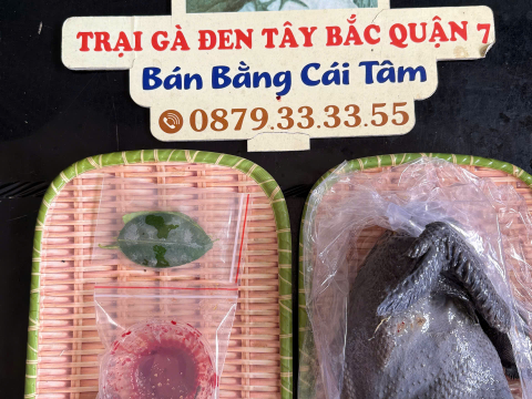 Trại gà đen Tây Bắc Sơn Vũ