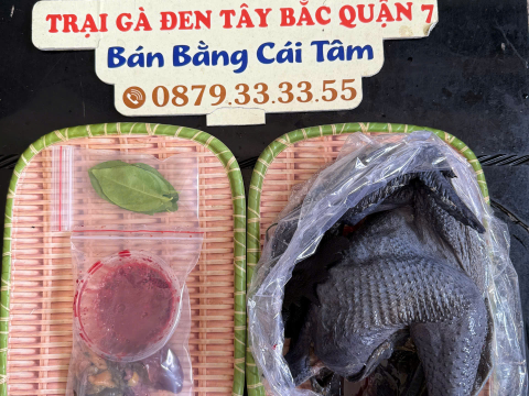 Trại gà đen Tây Bắc Sơn Vũ