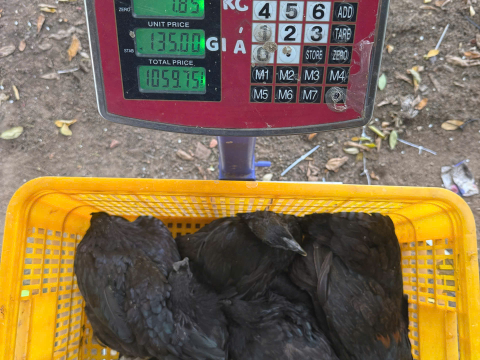 ĐƠN NGÀY 13/8