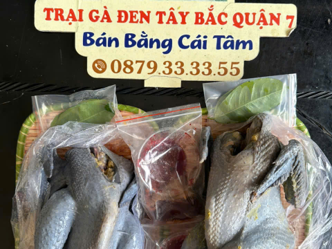 ĐƠN NGÀY 15/8