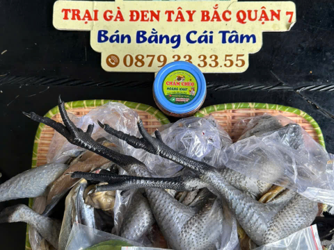 Trại gà đen Tây Bắc Sơn Vũ