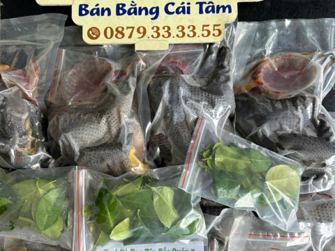 ĐƠN NGÀY 16/8