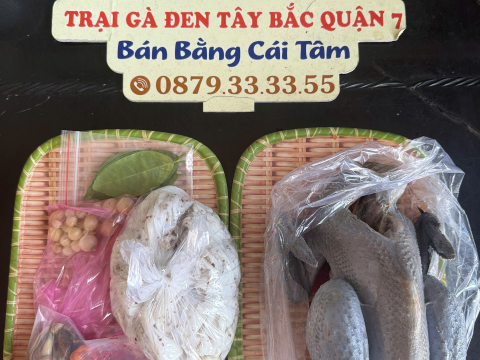 Trại gà đen Tây Bắc Sơn Vũ
