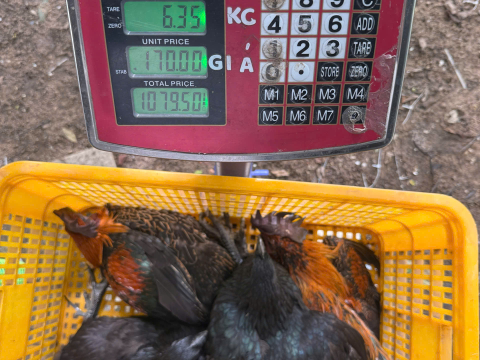 ĐƠN NGÀY 18/8
