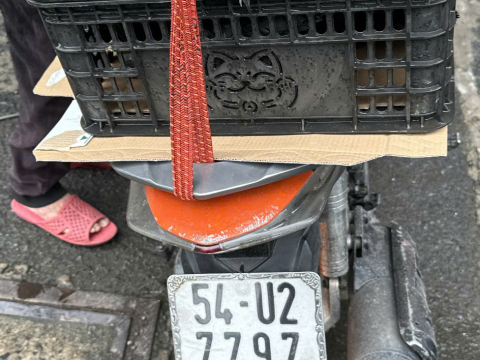 Trại gà đen Tây Bắc Sơn Vũ