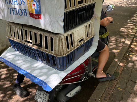 Trại gà đen Tây Bắc Sơn Vũ